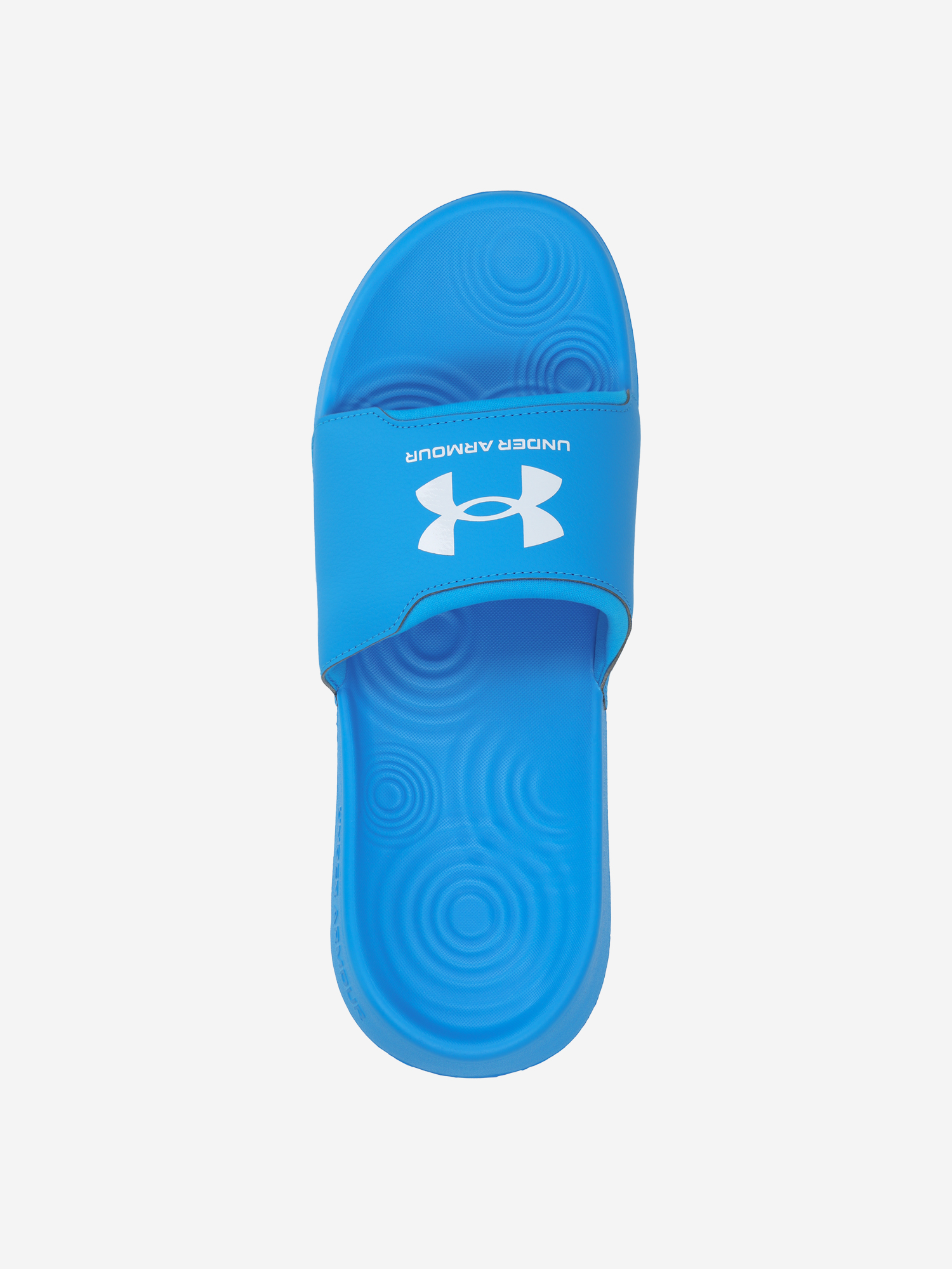 фото Шлепанцы мужские under armour ignite select, голубой