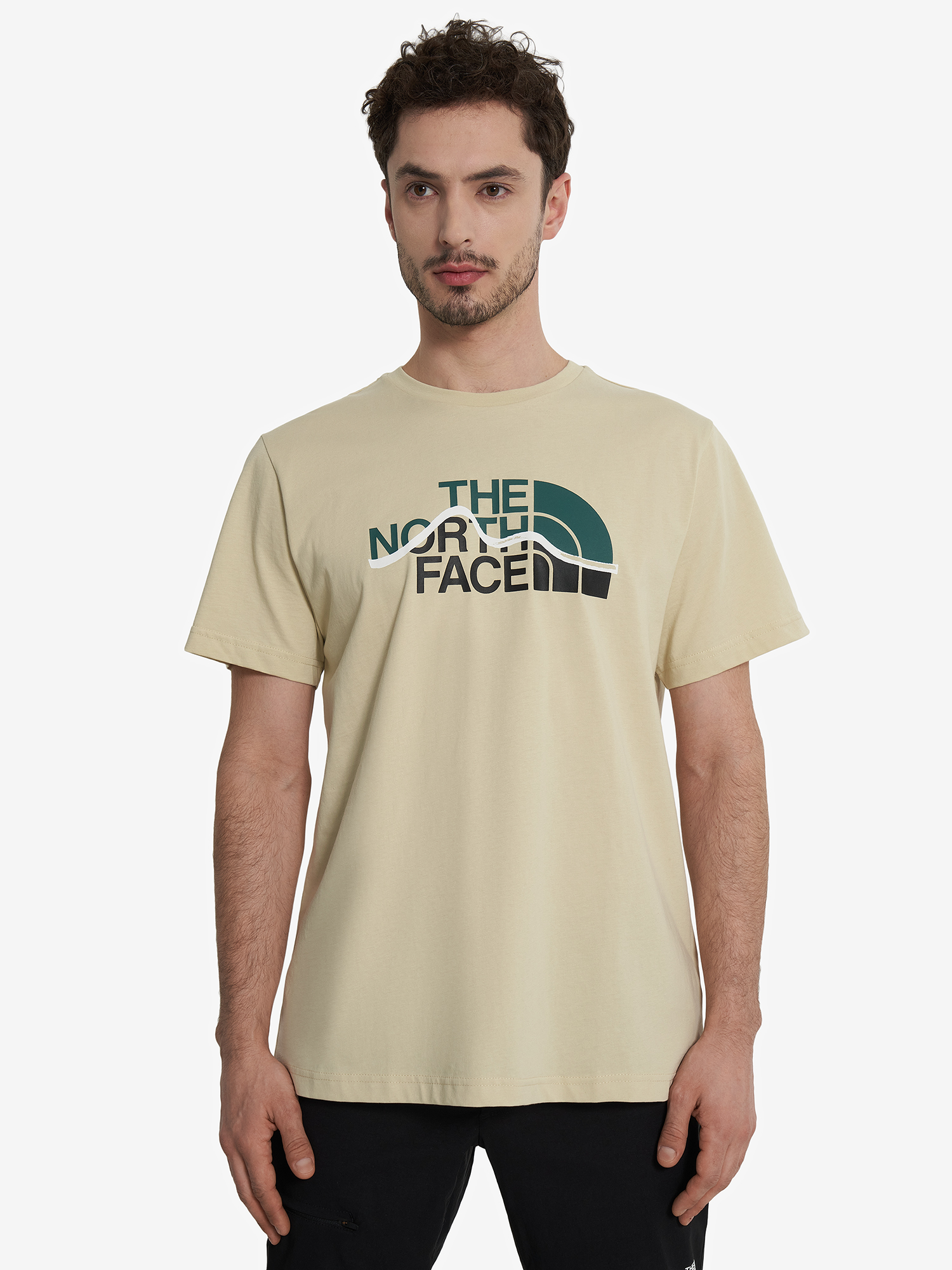 фото Футболка мужская the north face mountain line, бежевый