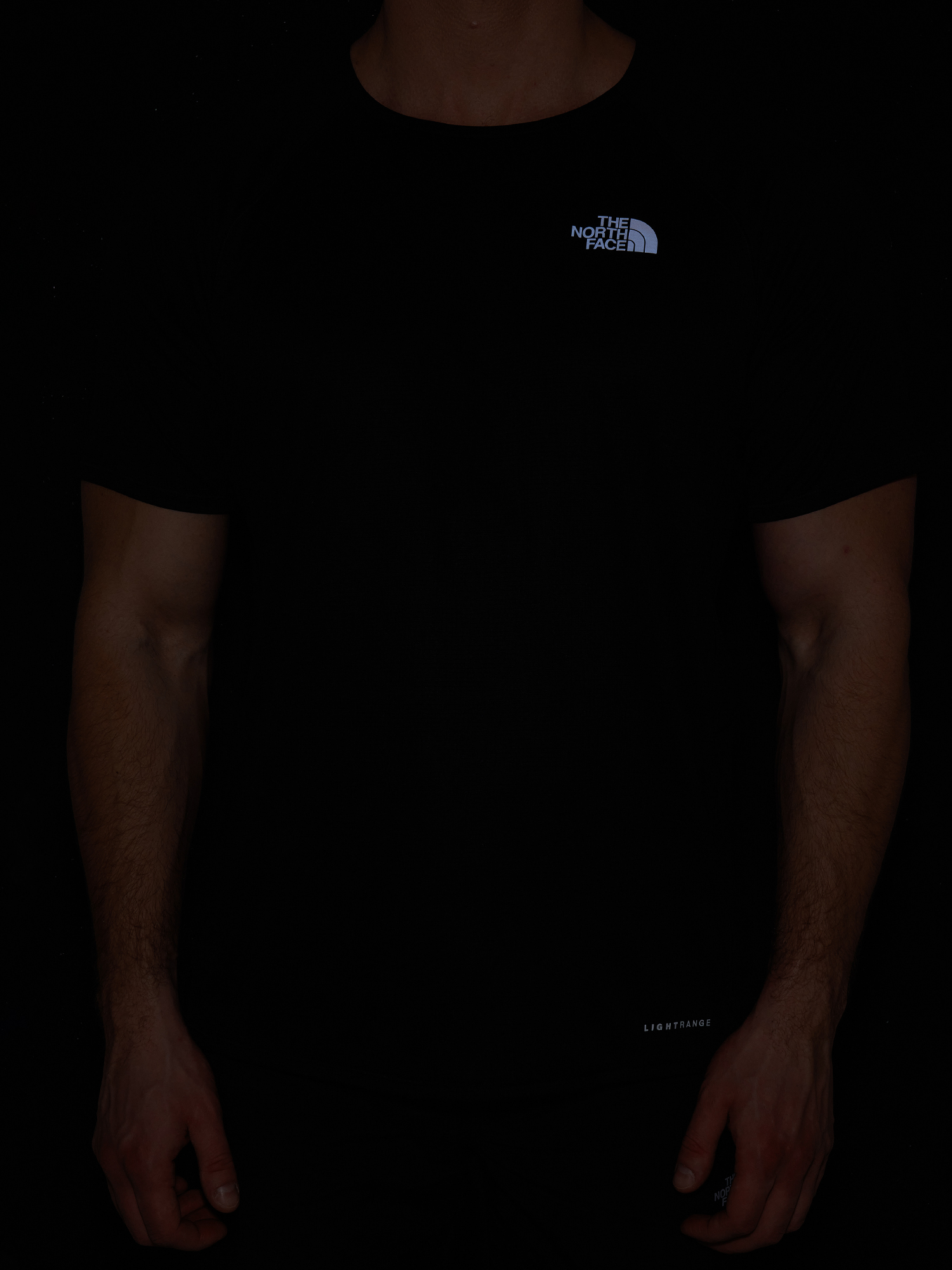 фото Футболка мужская the north face sunriser, черный