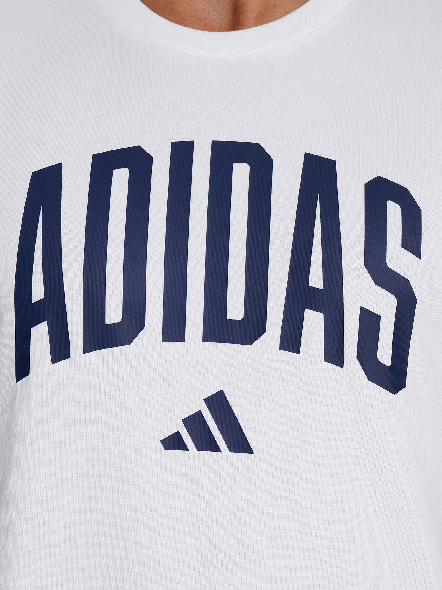 фото Футболка мужская adidas collegiate, белый