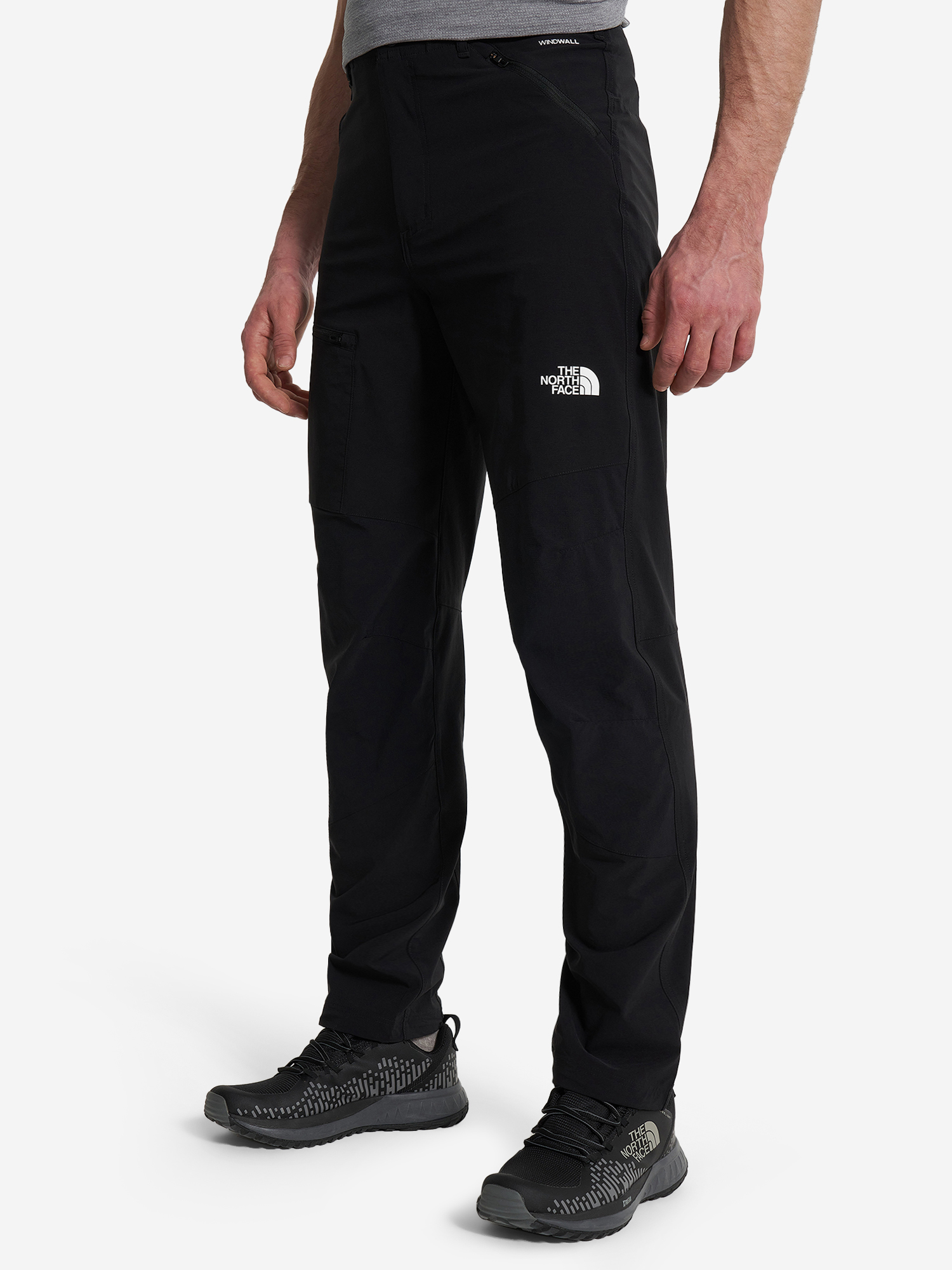 фото Брюки мужские the north face speedlight, черный