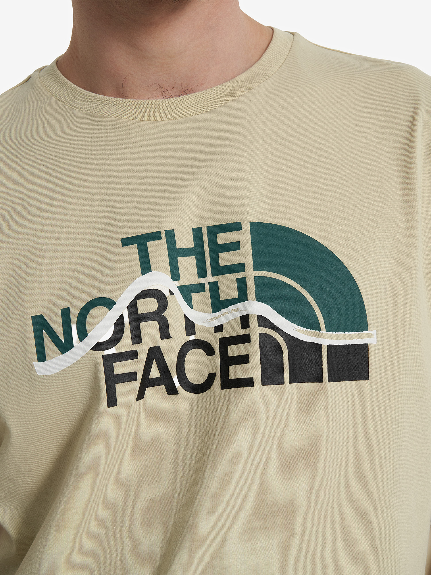 фото Футболка мужская the north face mountain line, бежевый