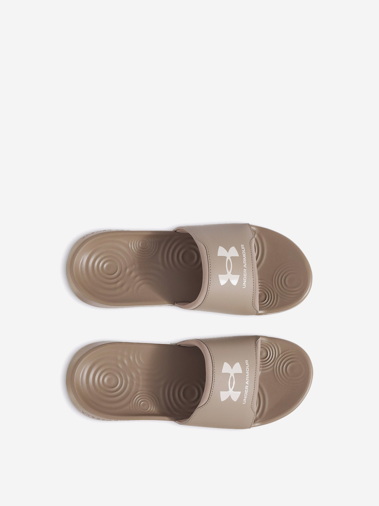 фото Шлепанцы мужские under armour ua m ignite select, коричневый