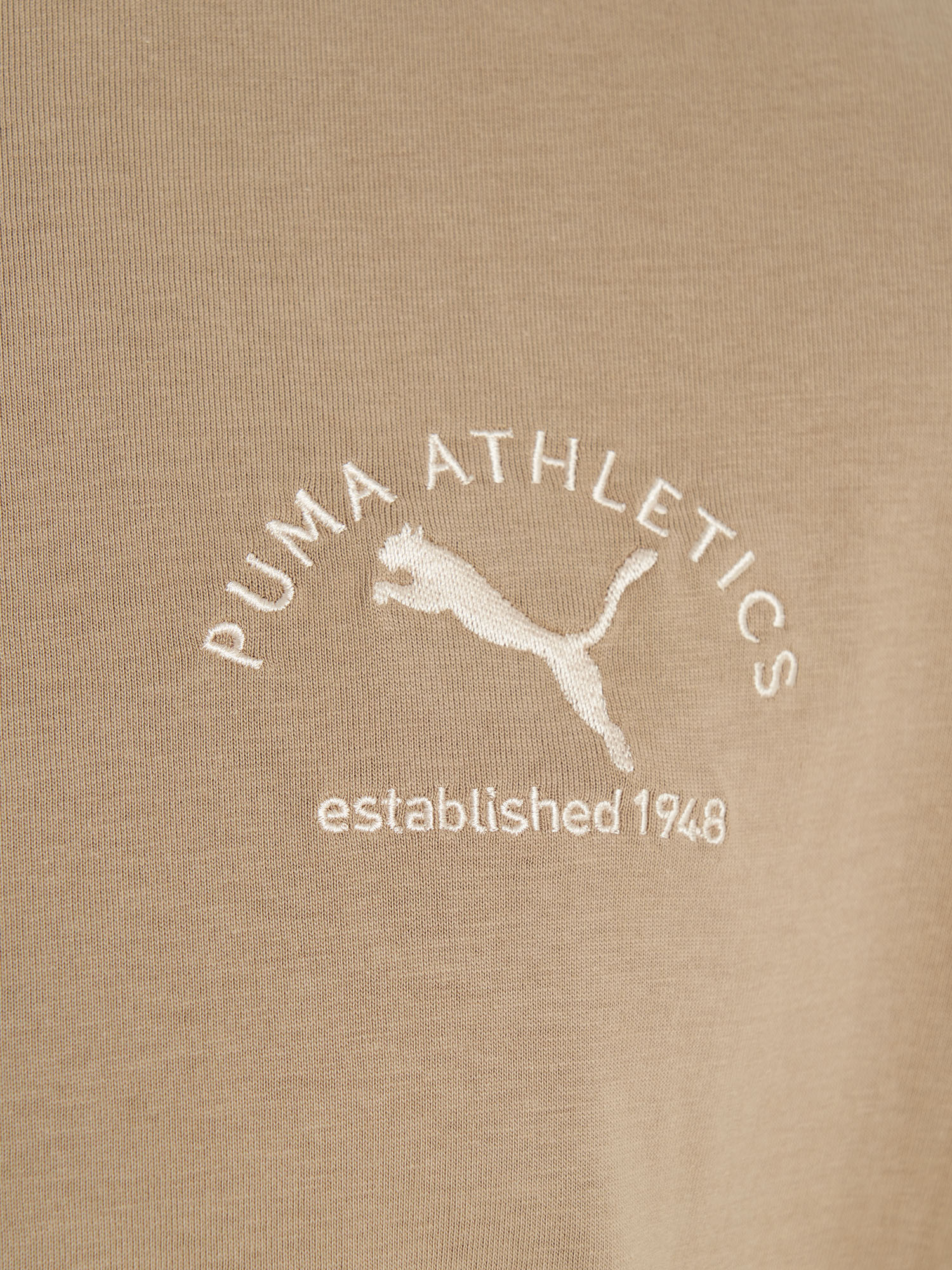 фото Футболка мужская puma class, коричневый