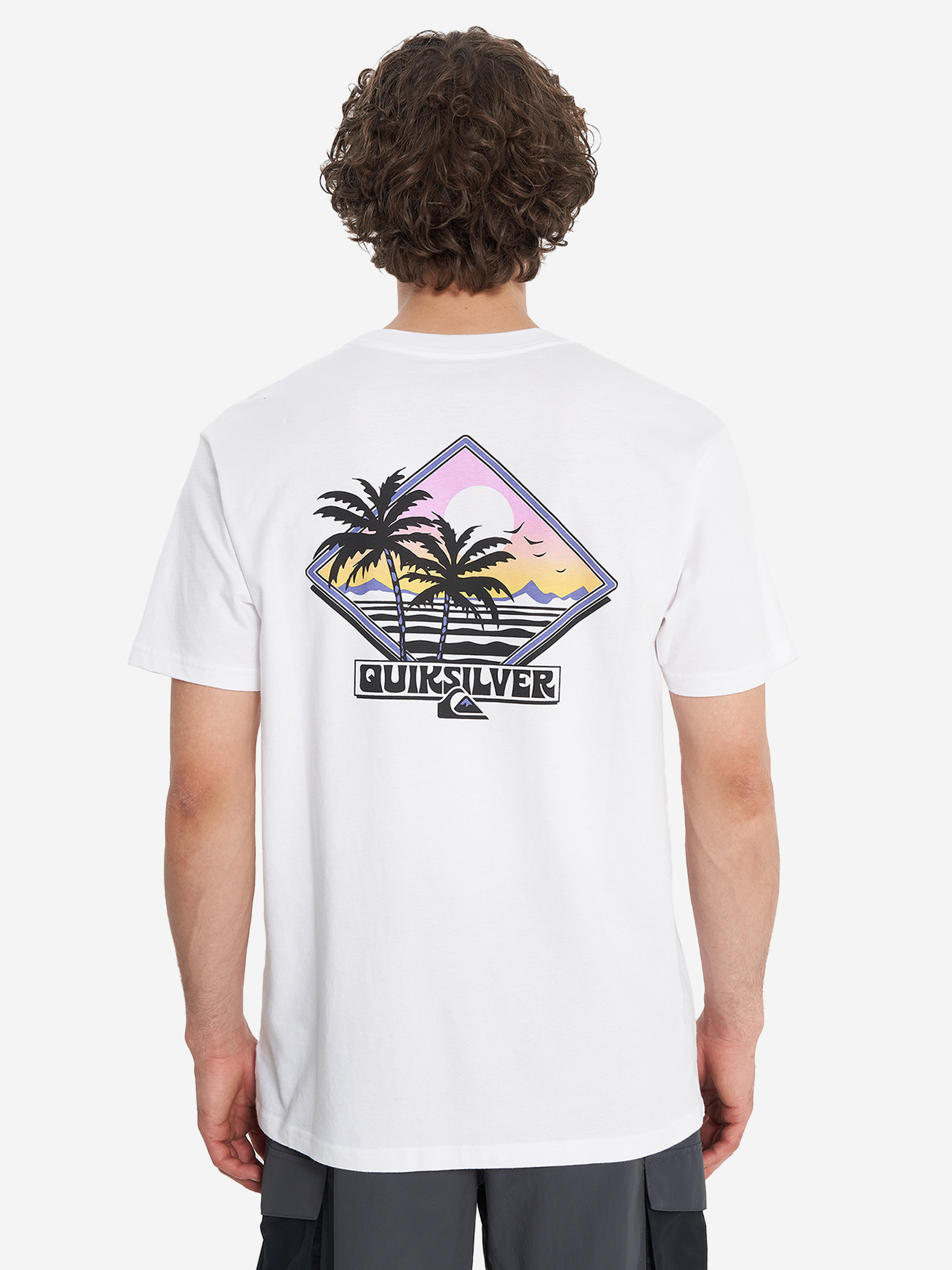 фото Футболка мужская quiksilver palm square, белый