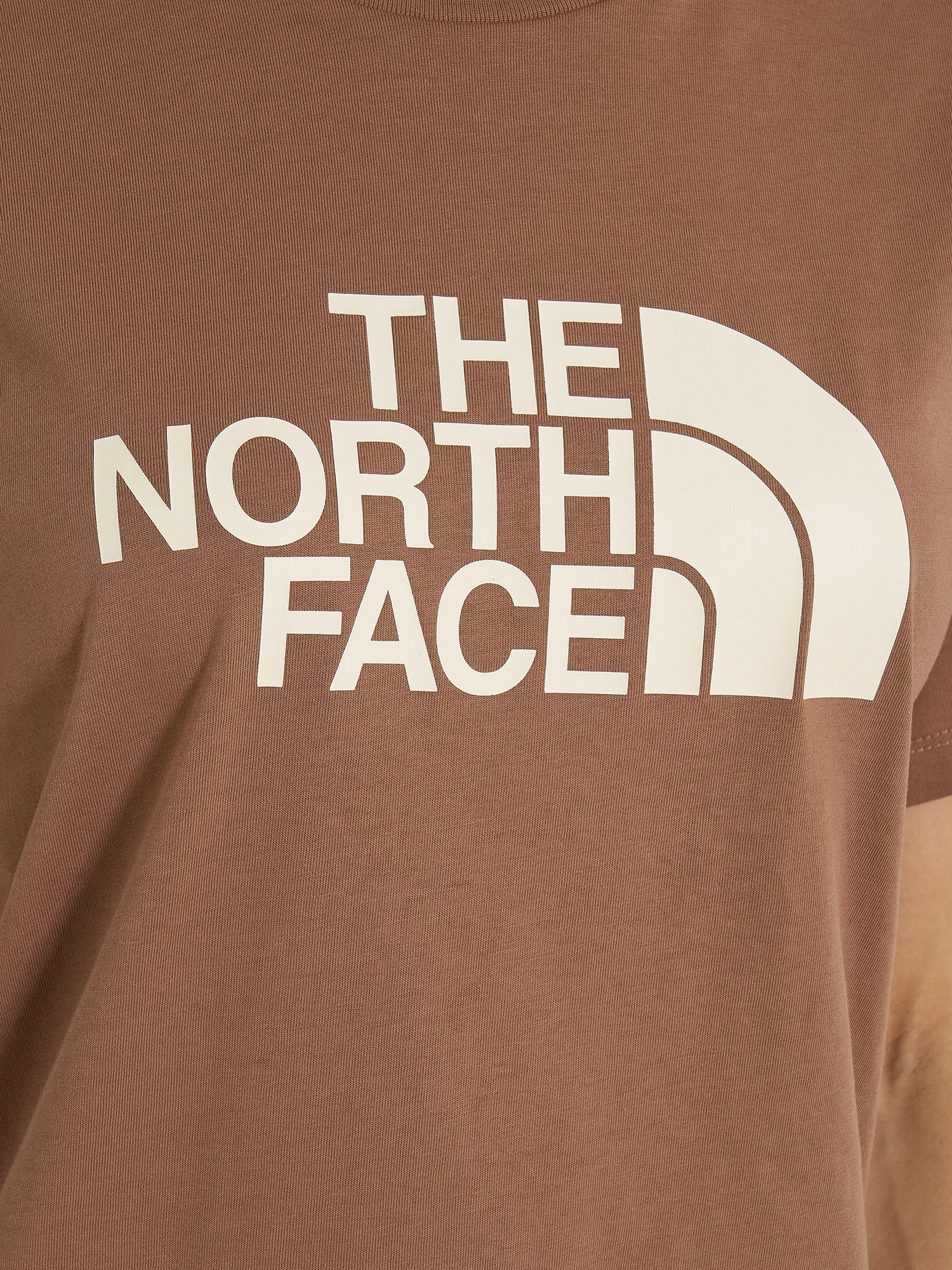 фото Футболка женская the north face easy, коричневый