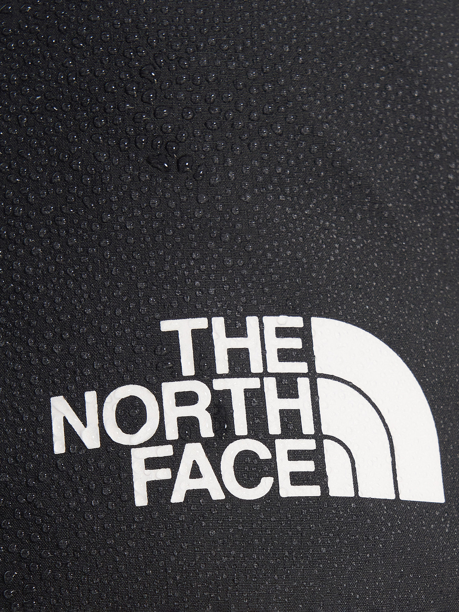 фото Брюки мужские the north face jazzi gtx, серый
