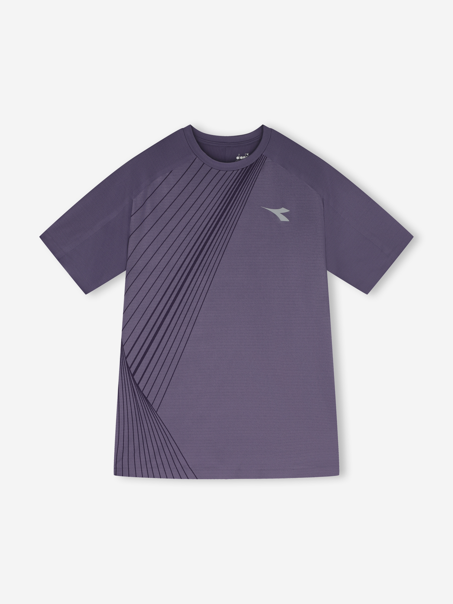 Футболка мужская Diadora Fibrazero, Фиолетовый
Футболка мужская Diadora Fibrazero, Фиолетовый