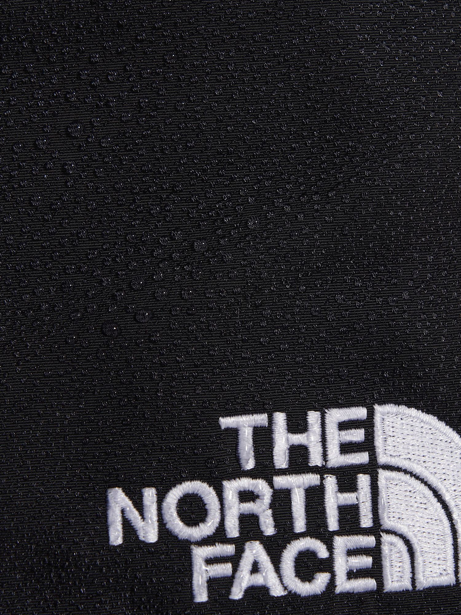 фото Брюки мужские the north face easy wind, черный