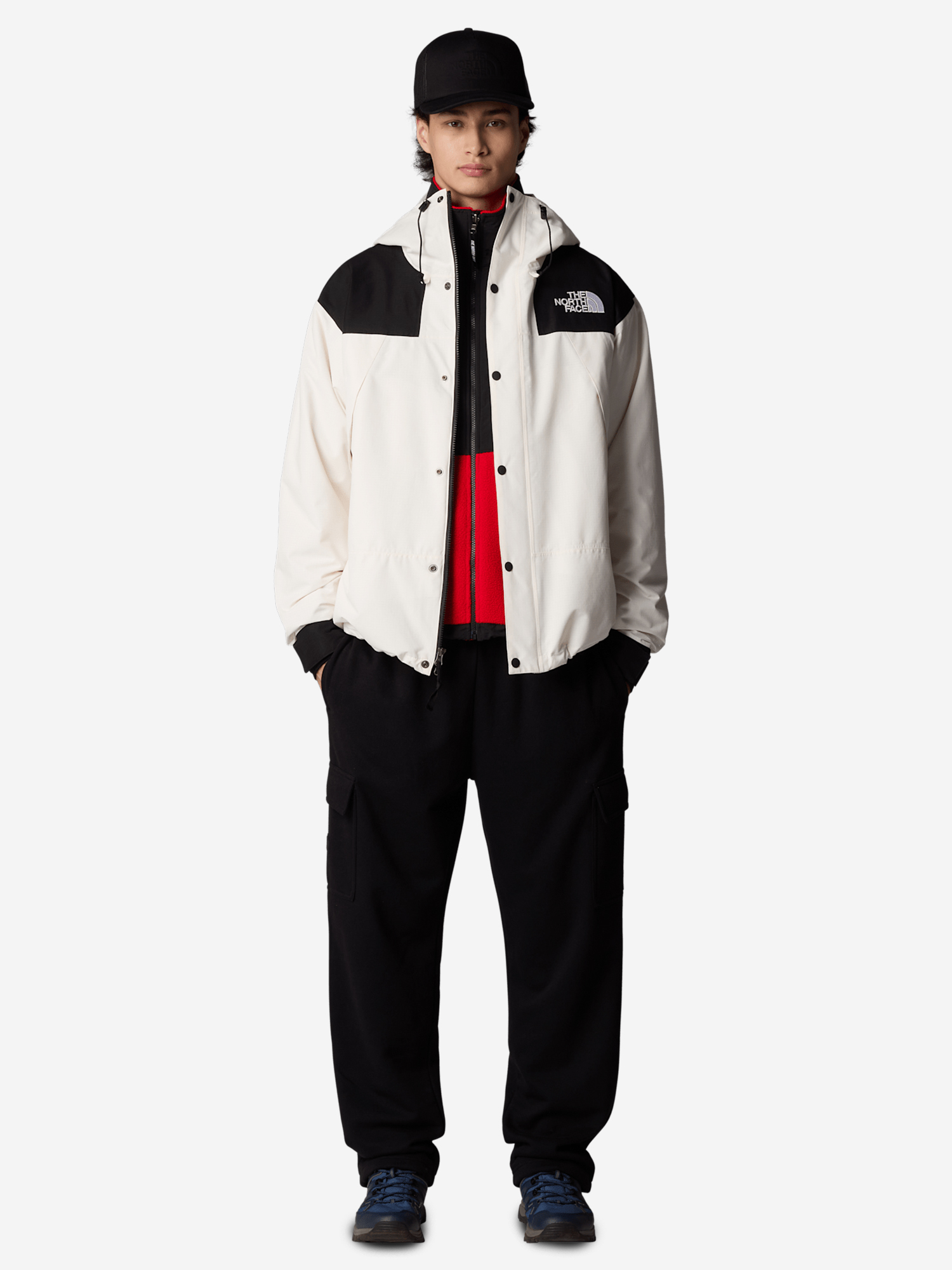 фото Брюки мужские the north face cargo jogger, черный