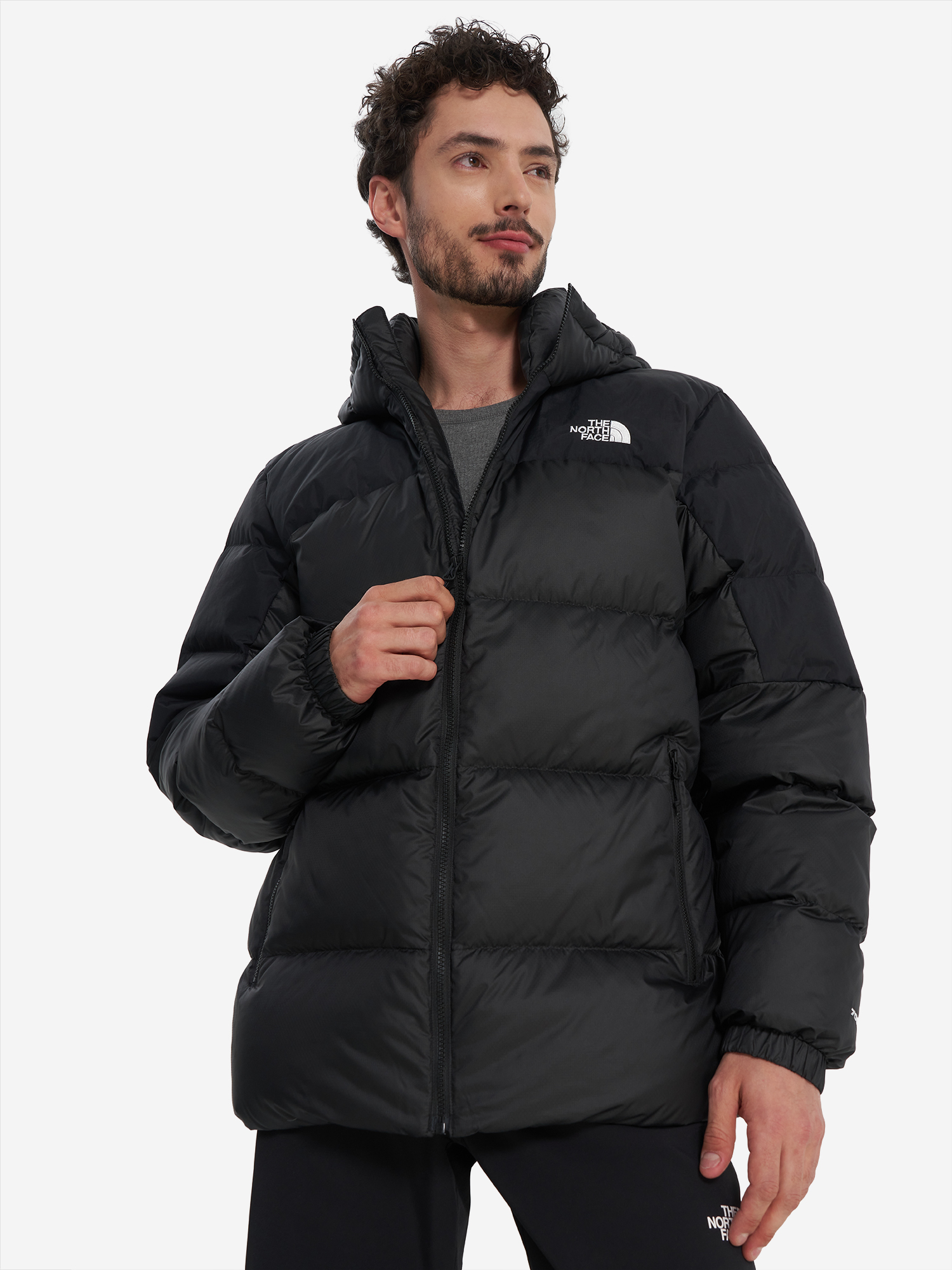 фото Пуховик мужской the north face diablo down 2.0, черный