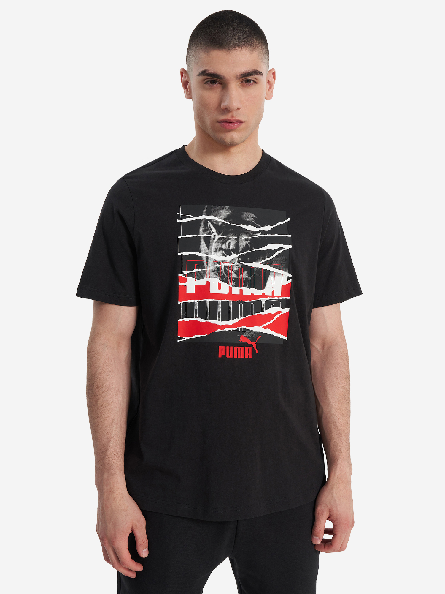 фото Футболка мужская puma graphic, черный