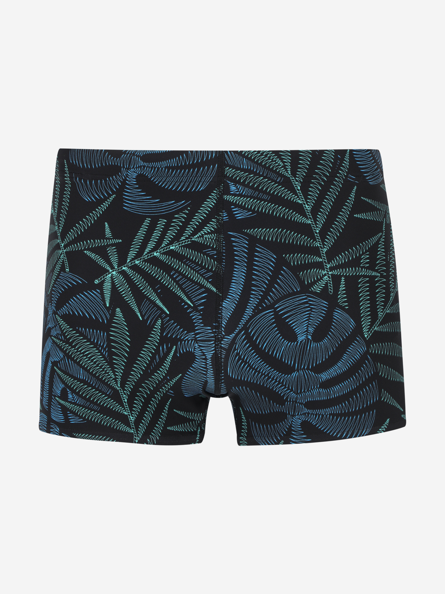 фото Плавки-шорты мужские speedo beachstar, черный