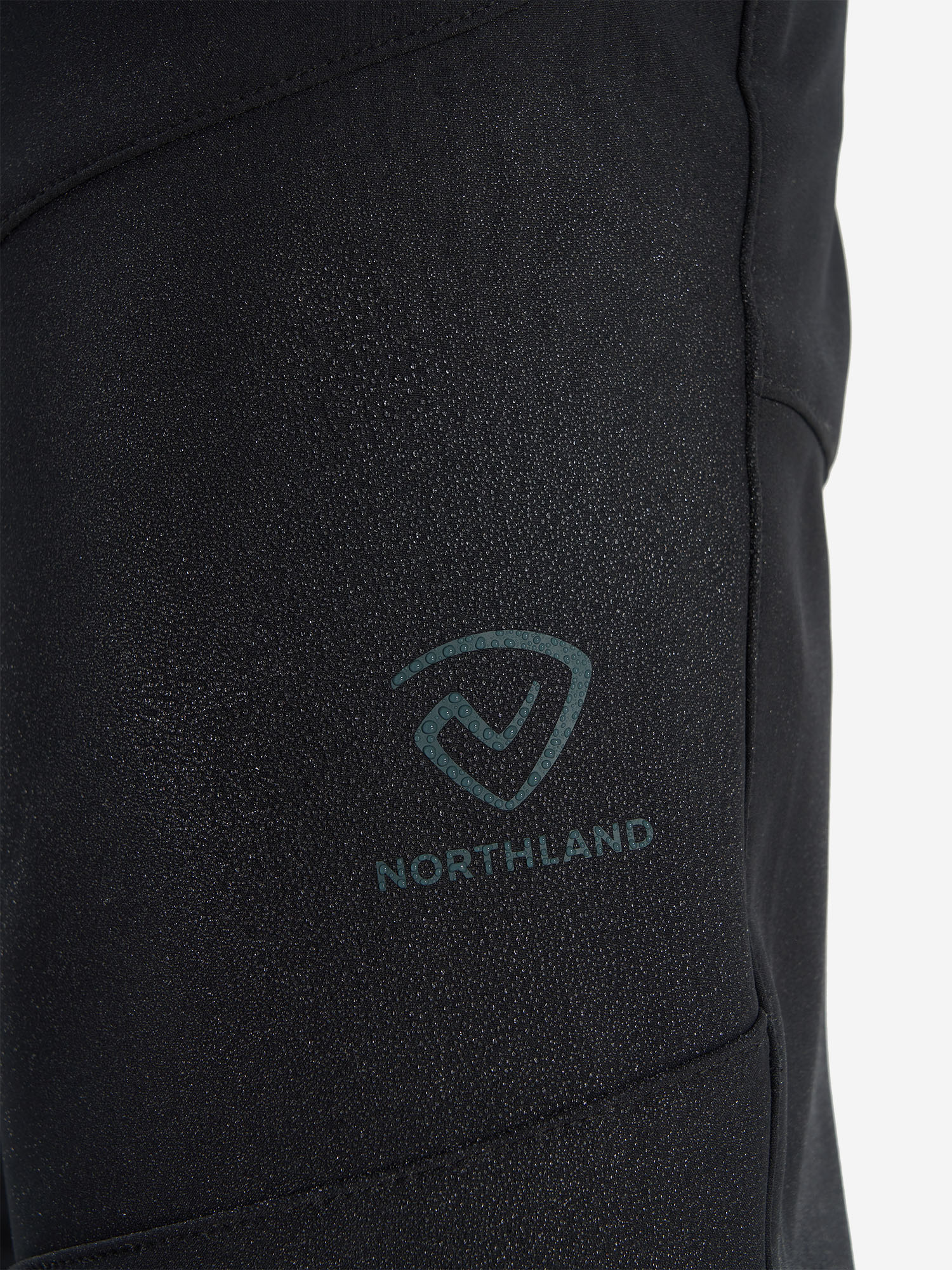 фото Брюки утепленные мужские northland, черный