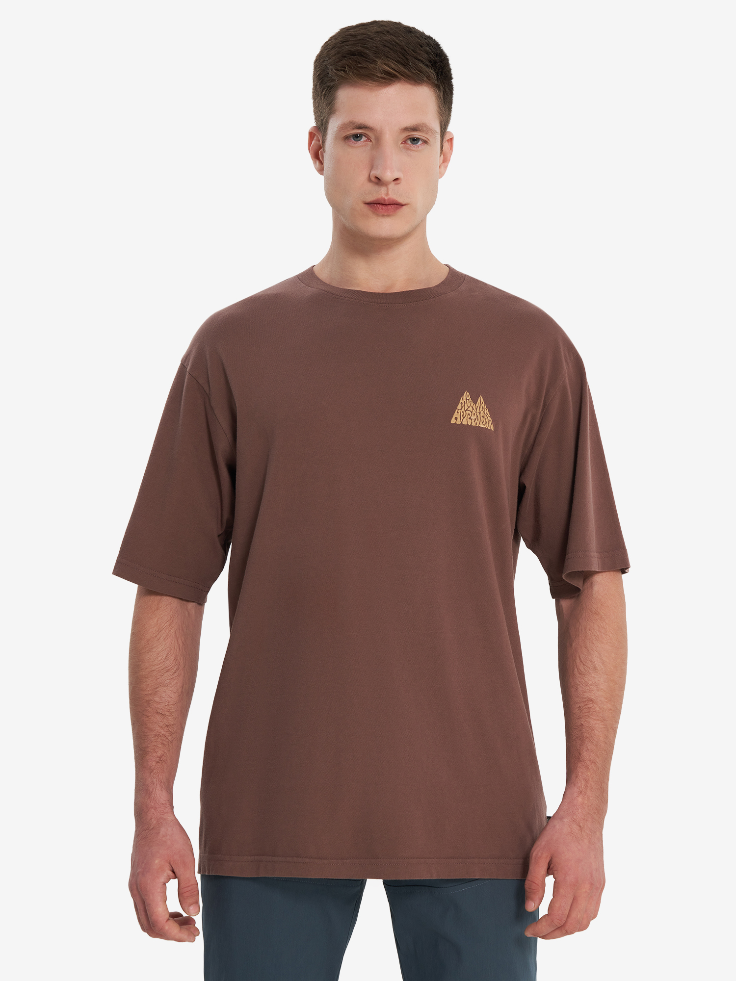 фото Футболка мужская mountain hardwear mountains collab short sleeve, коричневый