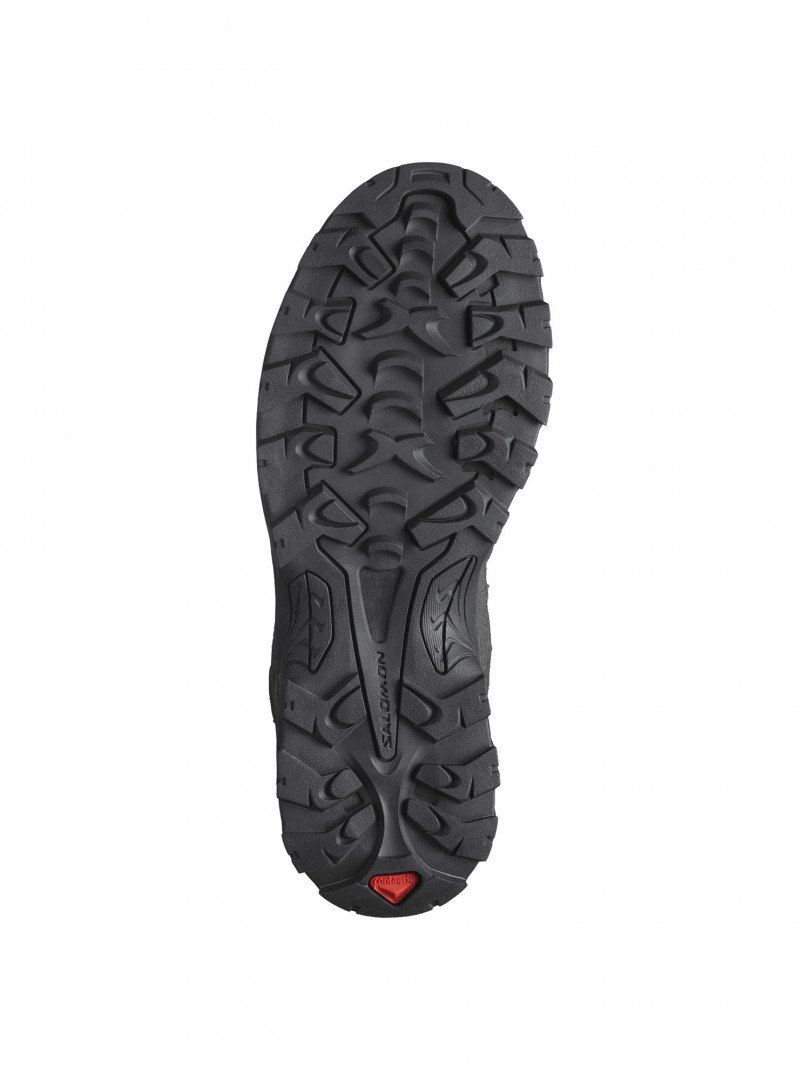 фото Ботинки мужские salomon quest rove gtx, черный
