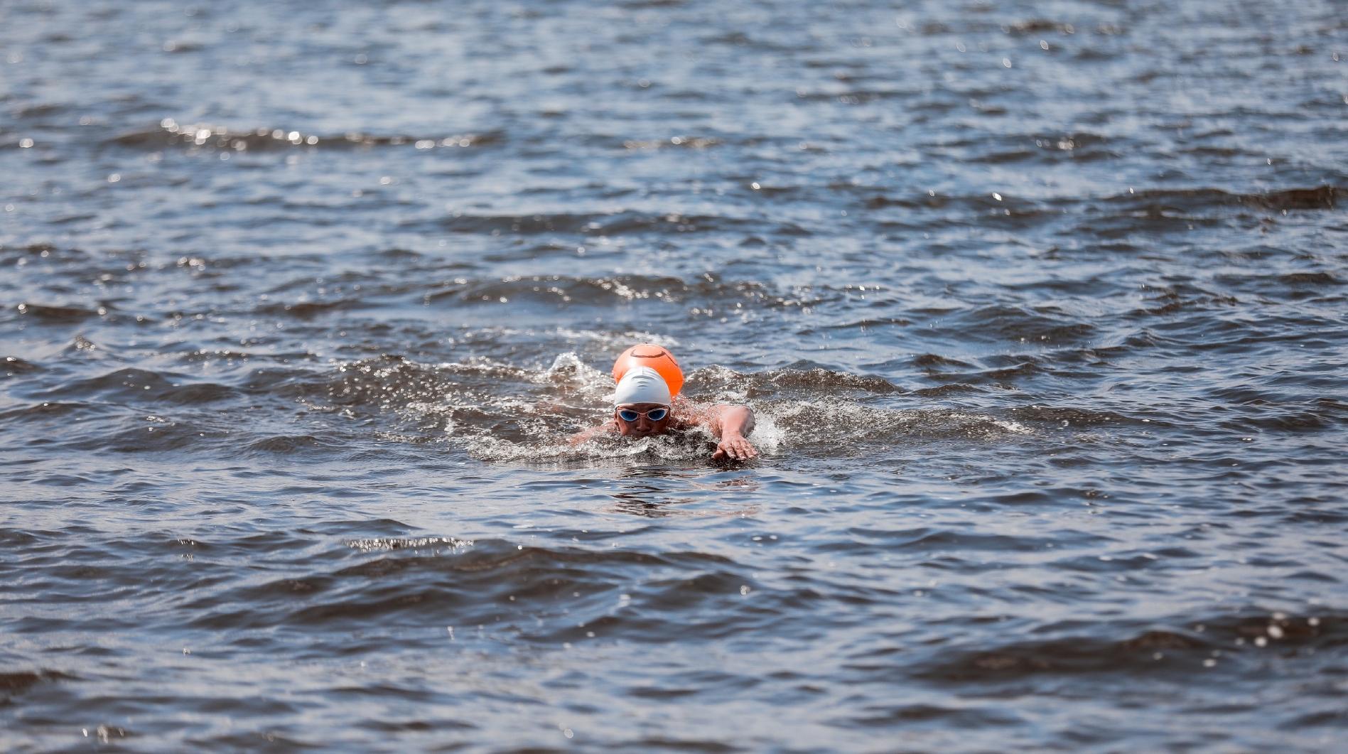 Занятие по плаванию от школы плавания Optimal swim