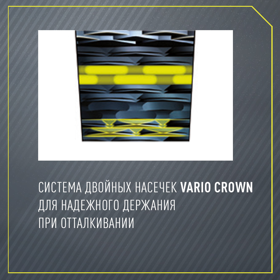 Беговые лыжи Fischer Country Crown 60 черный цвет — купить за 21999 руб ...
