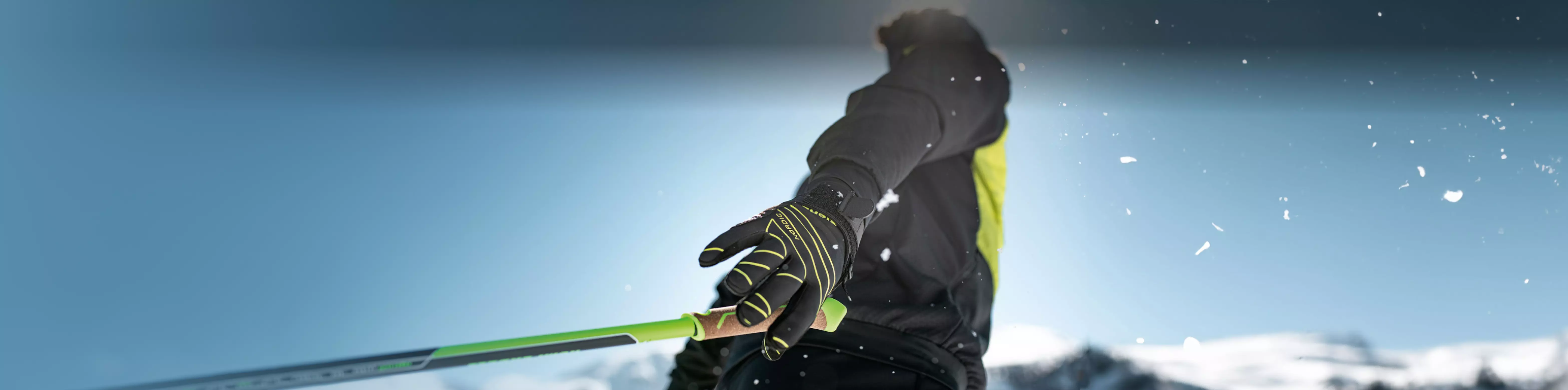 dv-banner
