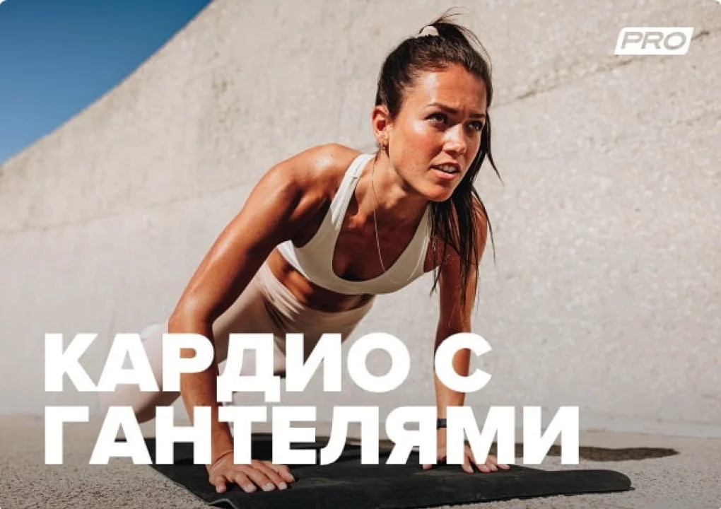 sportmaster image