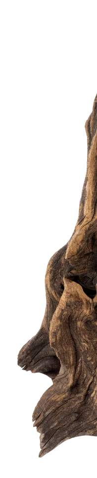 tree-img