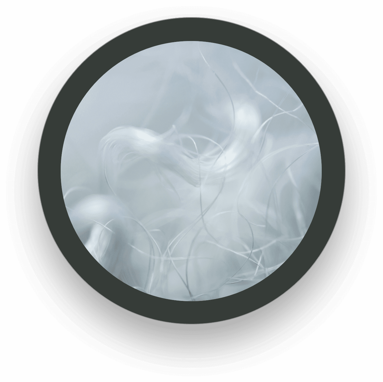 sm-image