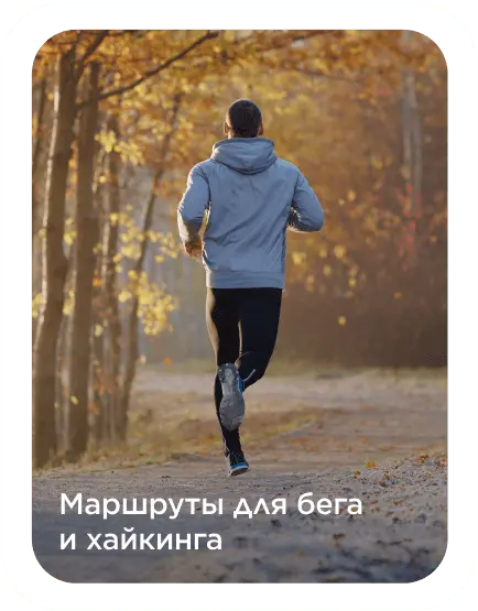 Sportmaster