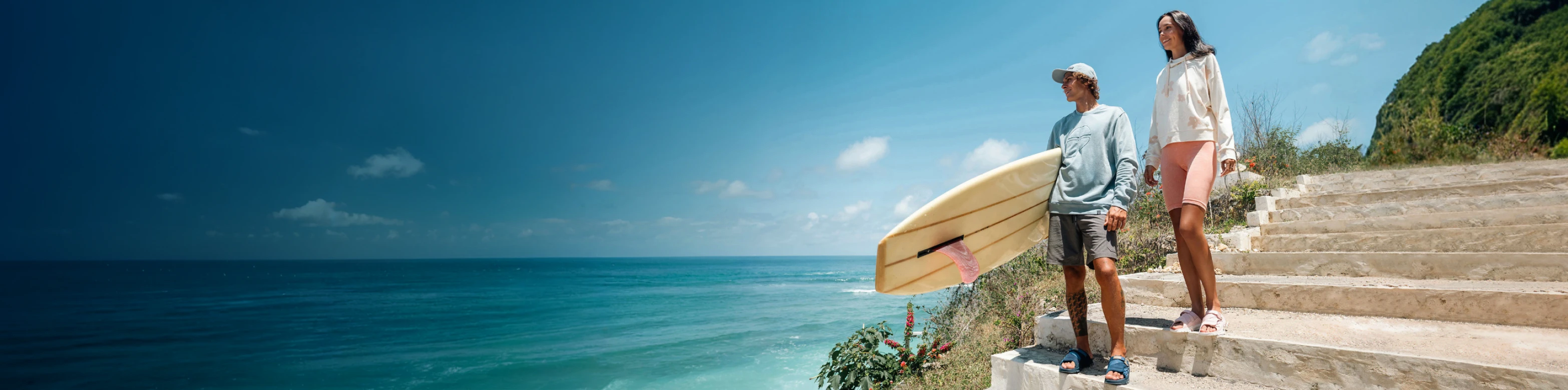 dv-banner