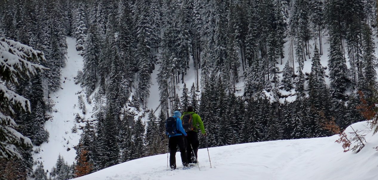 Лучшие женские зимние треккинговые ботинки — Медиапортал Спортмастер