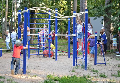 ������ ����������: ����.