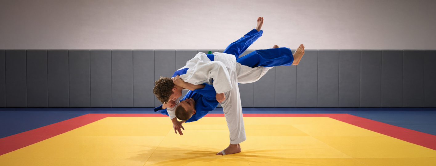 Дзюдо 