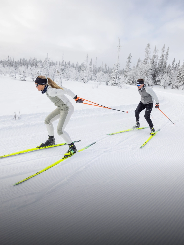 Горные лыжи