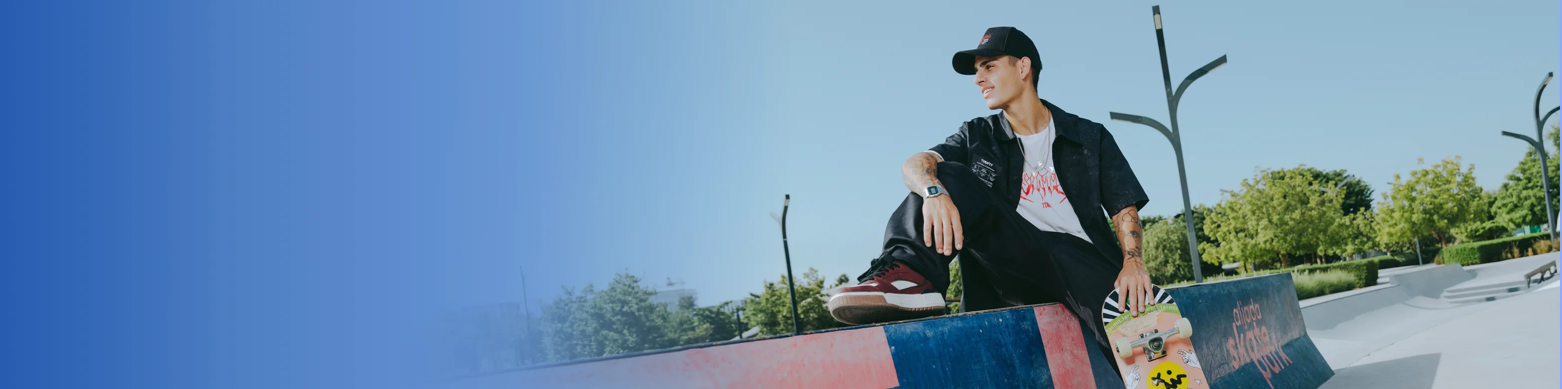 dv-banner