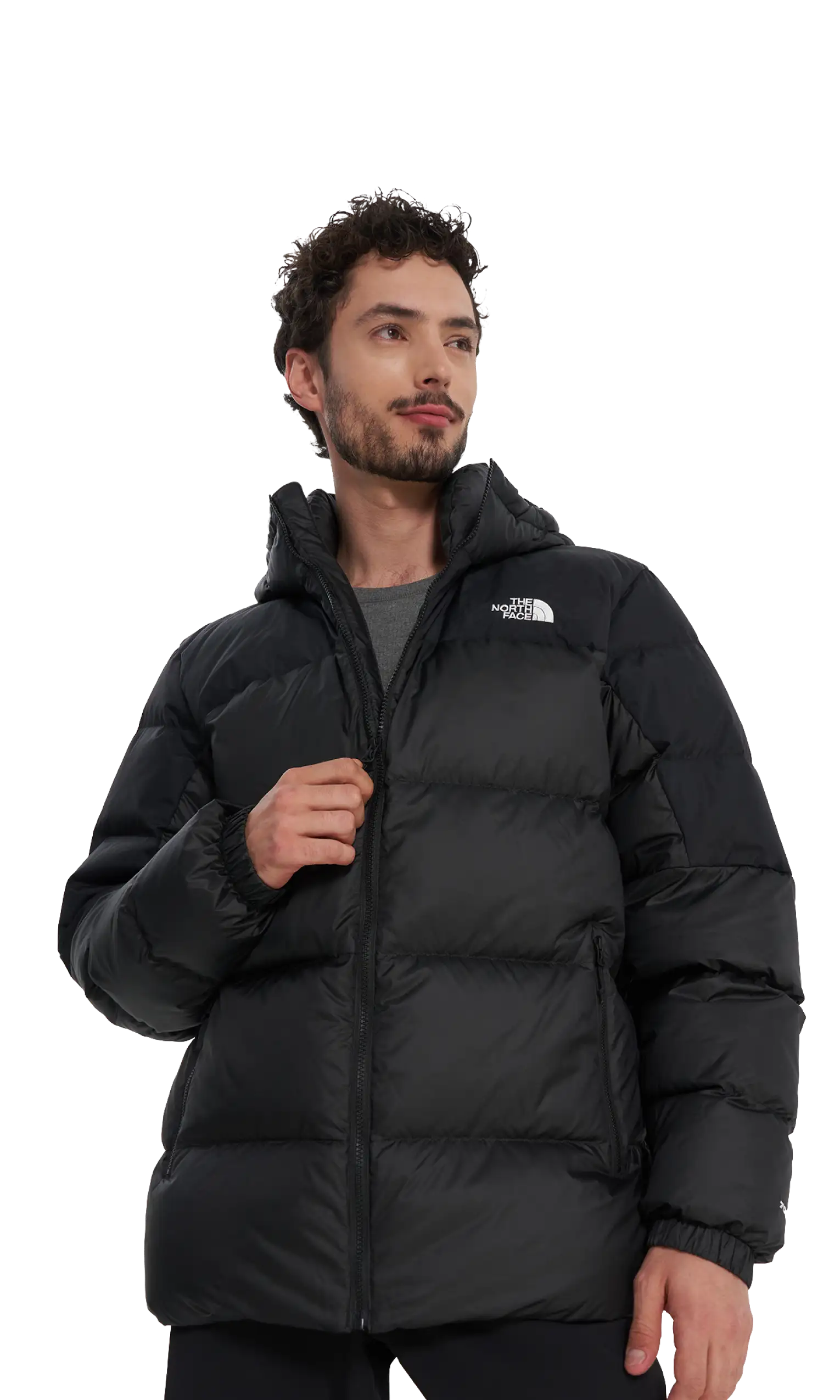 Куртки любимых брендов | Sportmaster