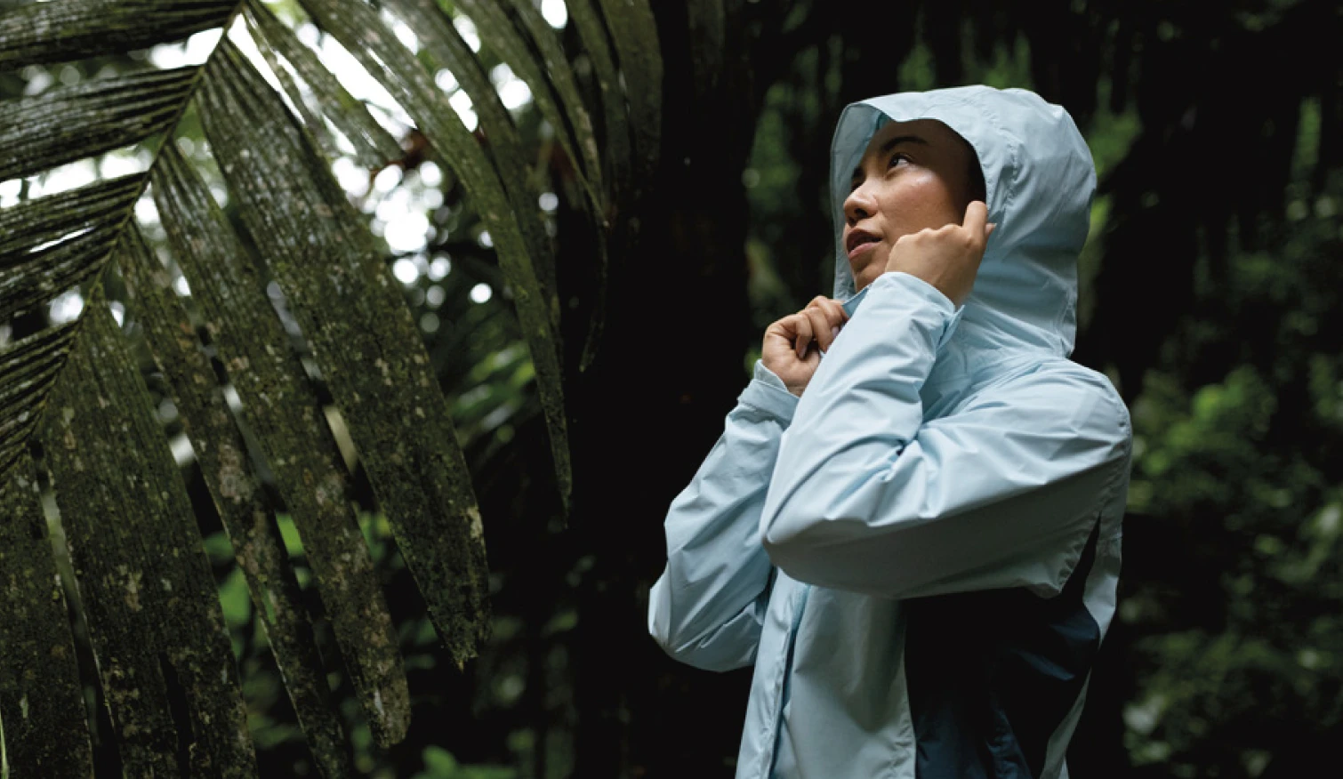 Thermoregulation
