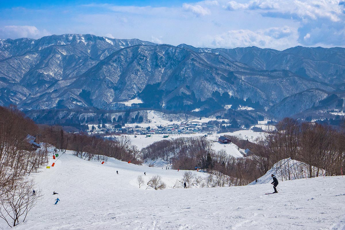 Хакуба Цугаикэ