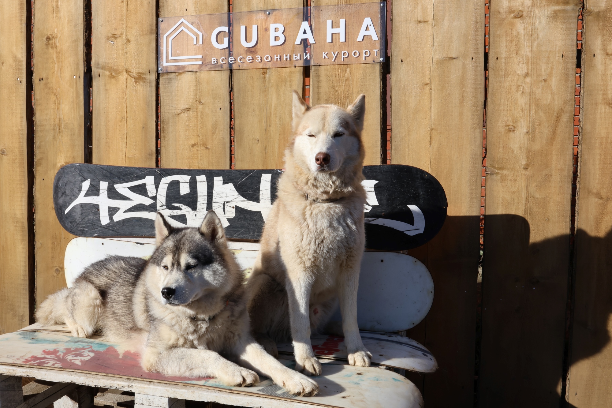 Хаски-клуб Губаха