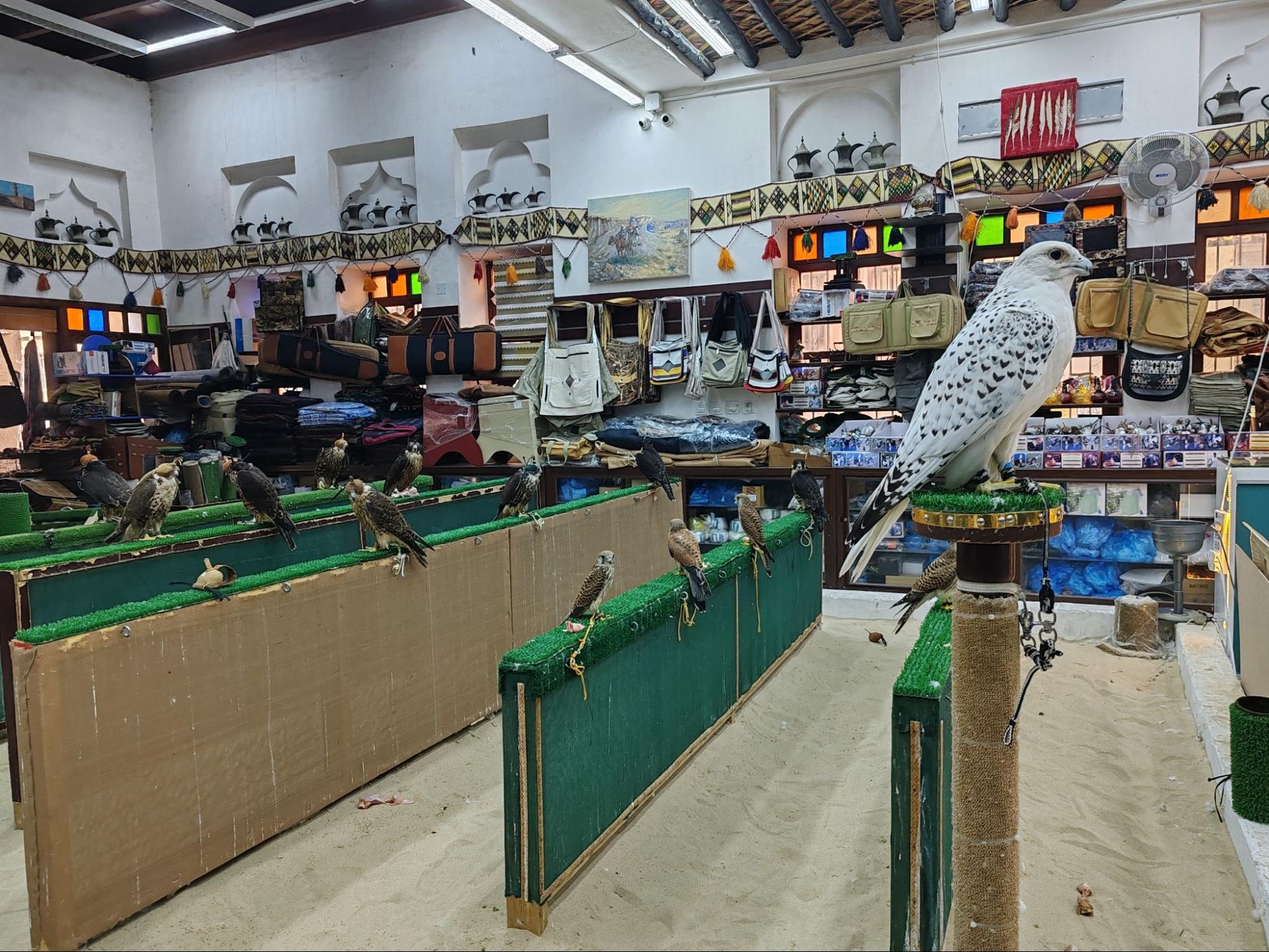 Соколиный госпиталь