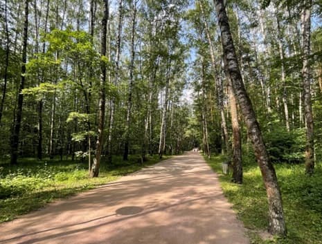 Прогулка по Бирюлевскому дендропарку
