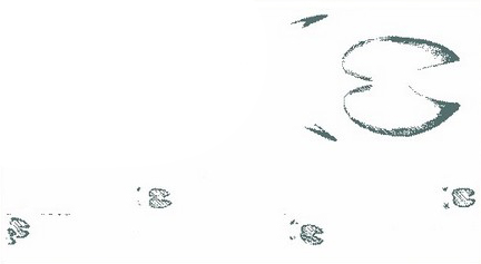 Следы кабанов