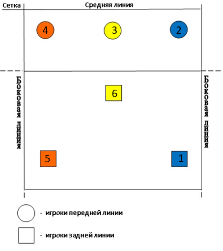 Площадка волейбольная схема с зонами и линиями