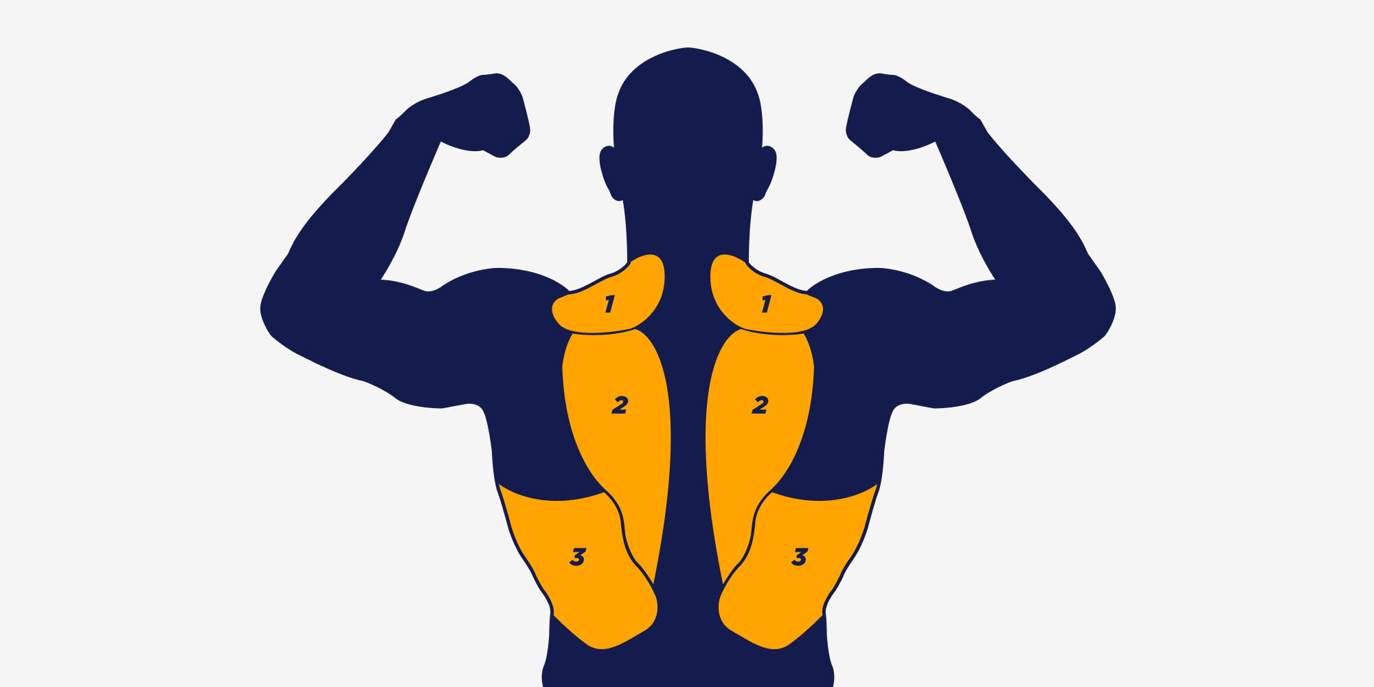 Топ-8 упражнений на плечи для мужчин для увеличения объёма и набора массы