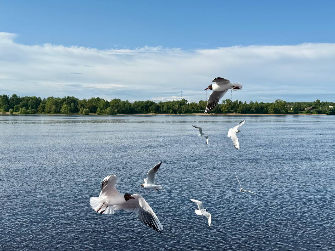 Река Кама