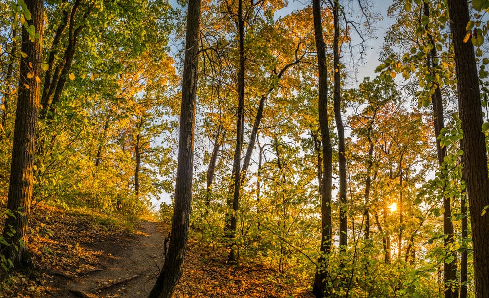 село Аракаево — Аракаевские пещеры