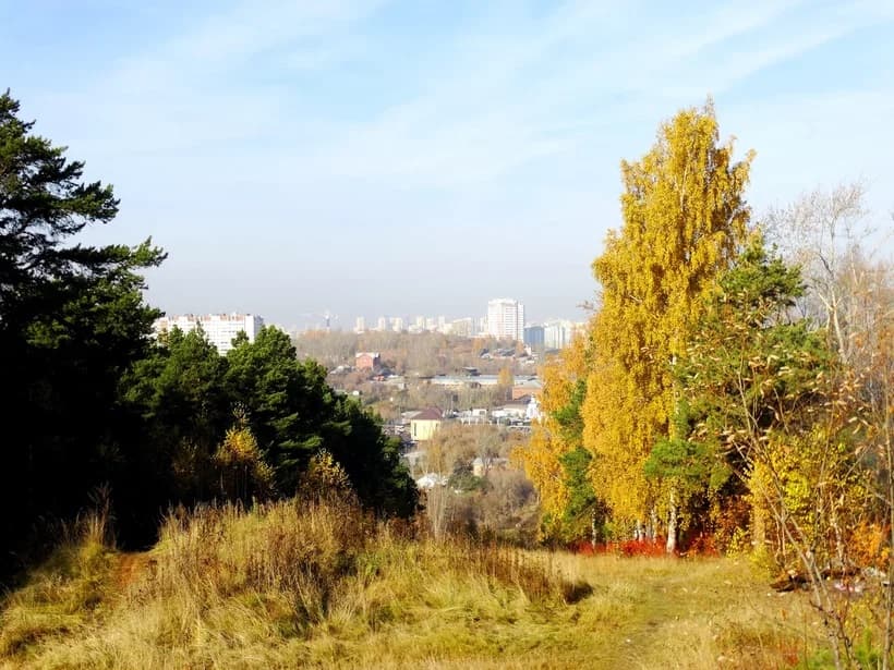 Уктусский лесопарк