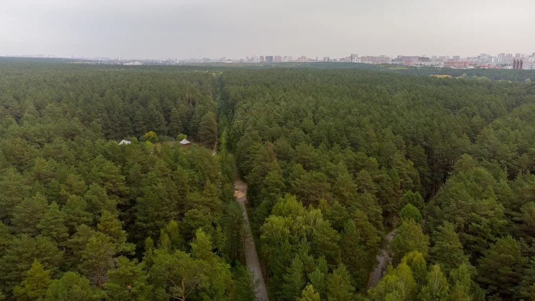 Заельцовский парк