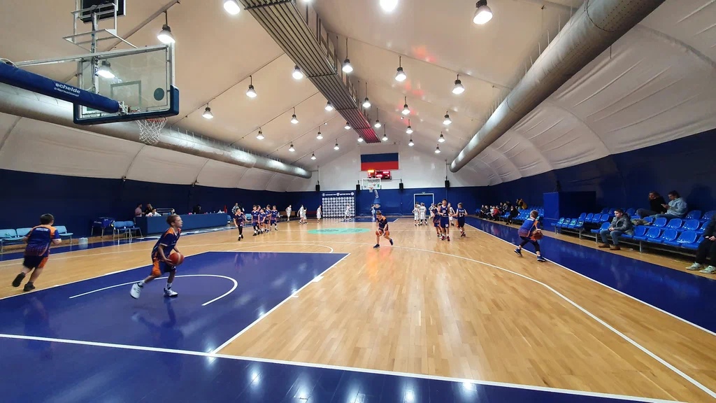 баскетбол москва