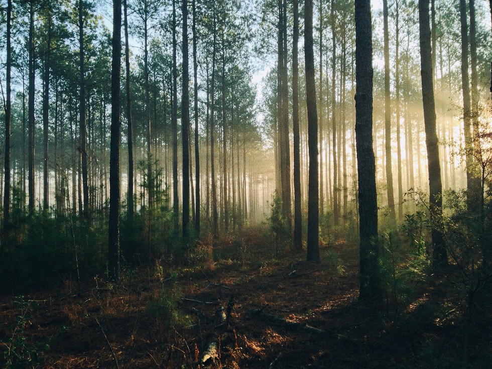 На гору Большой Тхач