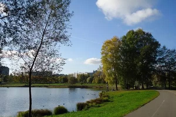 Парки Севера Петербурга