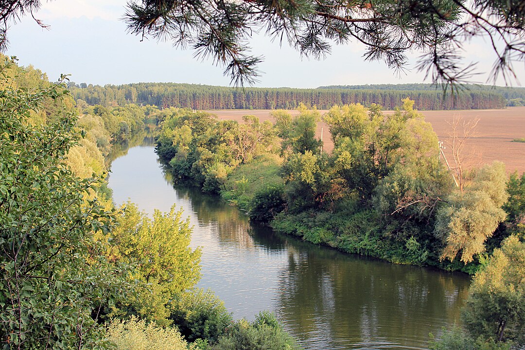 Река Осетр